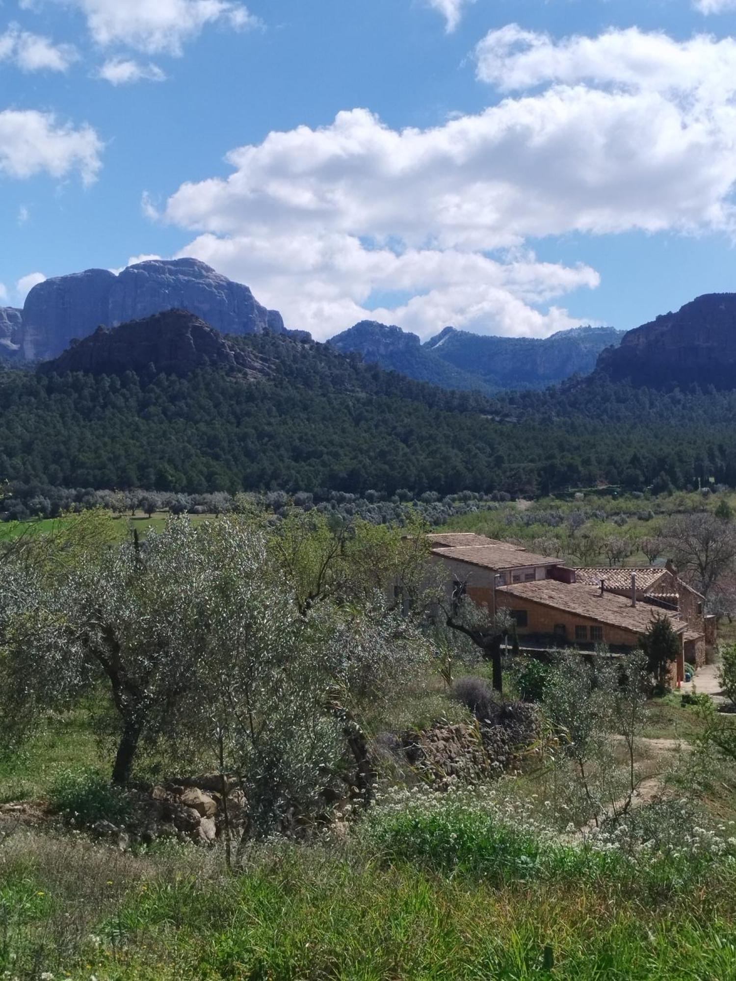 Mas De Manresa Appartement Horta de Sant Joan Buitenkant foto