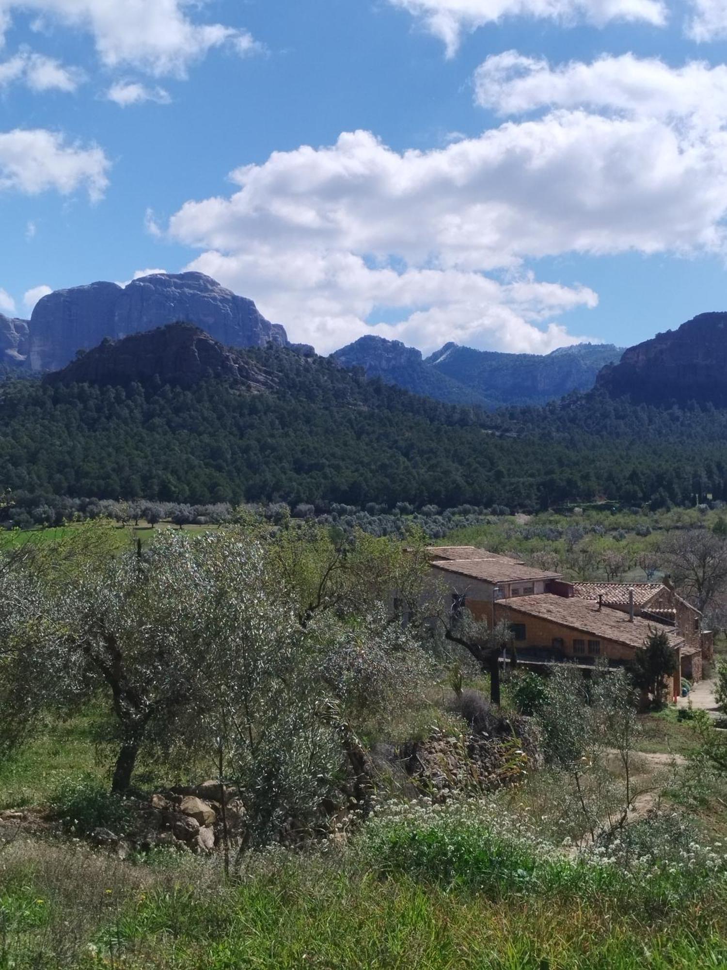 Mas De Manresa Appartement Horta de Sant Joan Buitenkant foto